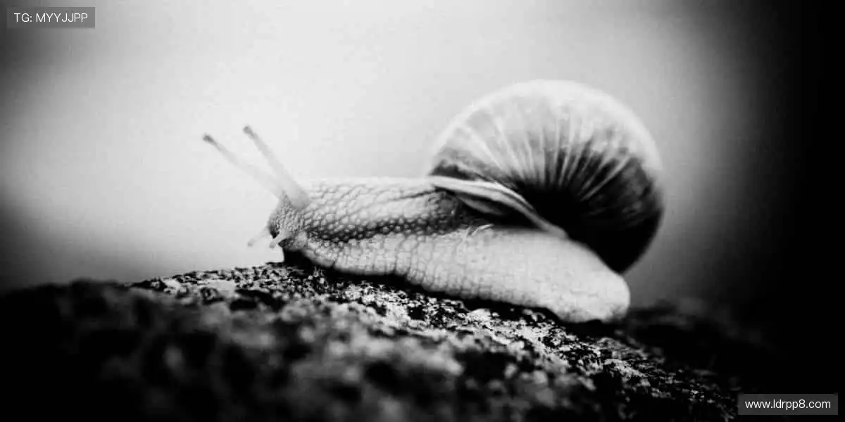 ⚽️ 点燃激情,见证赛事高光时刻!